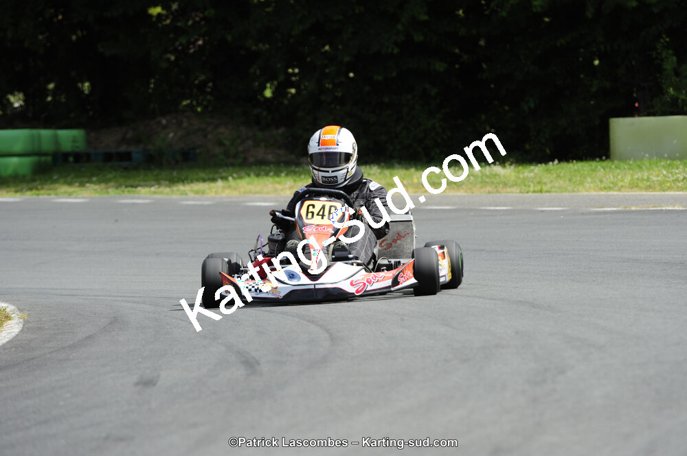 31/05/2015 : 4ème manche du Trophée Kart Ufolep 2015 à Layrac (Photos Patrick Lascombes) 2015 — karting