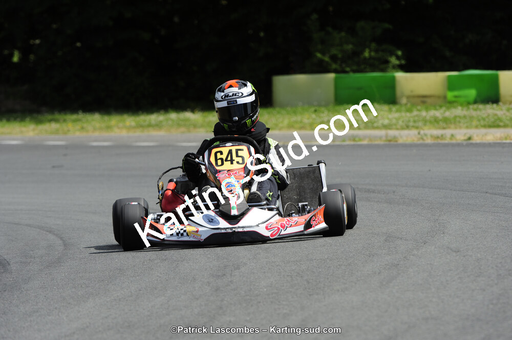 31/05/2015 : 4ème manche du Trophée Kart Ufolep 2015 à Layrac (Photos Patrick Lascombes) 2015 — karting