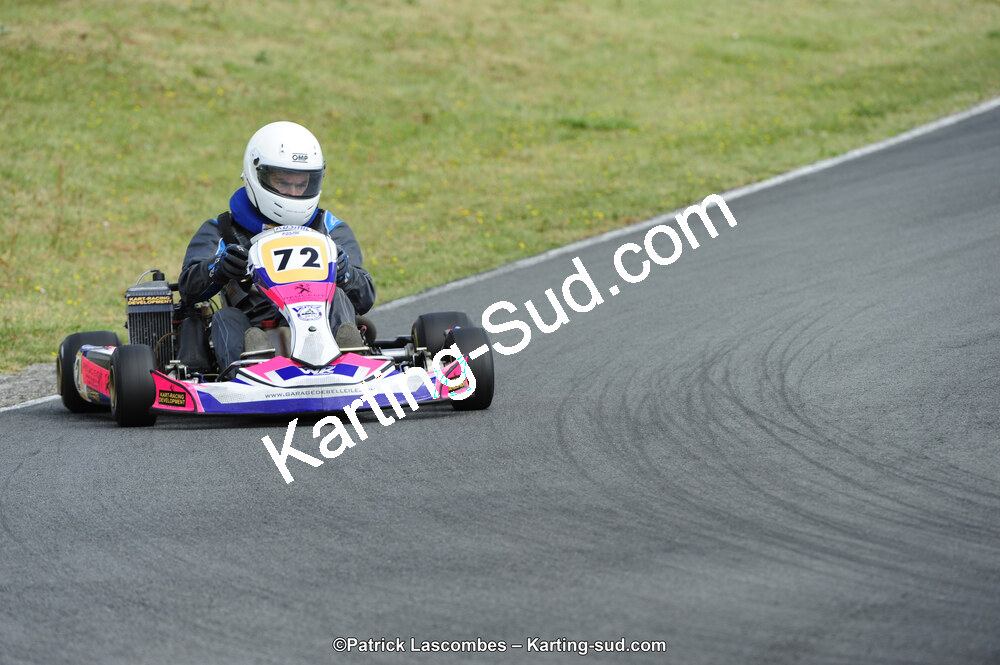 31/05/2015 : 4ème manche du Trophée Kart Ufolep 2015 à Layrac (Photos Patrick Lascombes) 2015 — karting