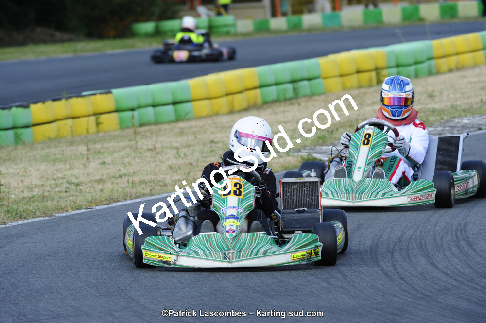 31/05/2015 : 4ème manche du Trophée Kart Ufolep 2015 à Layrac (Photos Patrick Lascombes) 2015 — karting