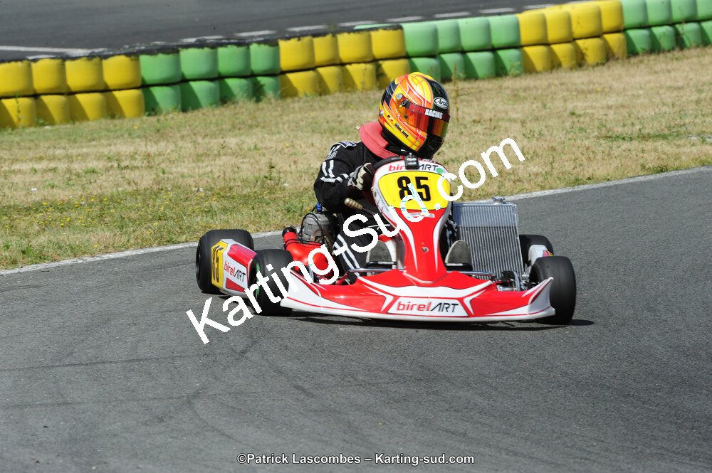 31/05/2015 : 4ème manche du Trophée Kart Ufolep 2015 à Layrac (Photos Patrick Lascombes) 2015 — karting