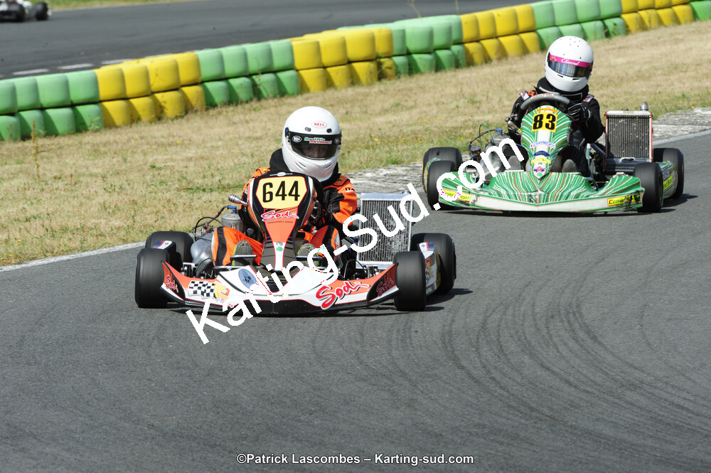 31/05/2015 : 4ème manche du Trophée Kart Ufolep 2015 à Layrac (Photos Patrick Lascombes) 2015 — karting