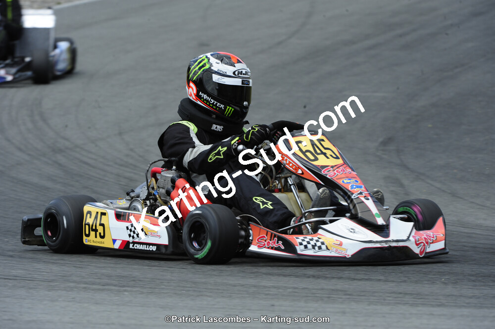 31/05/2015 : 4ème manche du Trophée Kart Ufolep 2015 à Layrac (Photos Patrick Lascombes) 2015 — karting