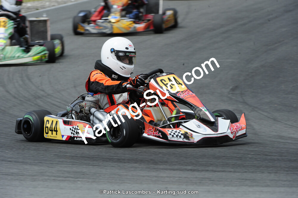 31/05/2015 : 4ème manche du Trophée Kart Ufolep 2015 à Layrac (Photos Patrick Lascombes) 2015 — karting