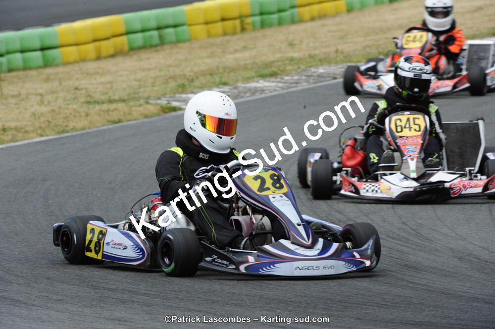 31/05/2015 : 4ème manche du Trophée Kart Ufolep 2015 à Layrac (Photos Patrick Lascombes) 2015 — karting