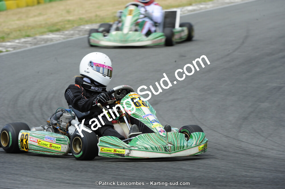 31/05/2015 : 4ème manche du Trophée Kart Ufolep 2015 à Layrac (Photos Patrick Lascombes) 2015 — karting