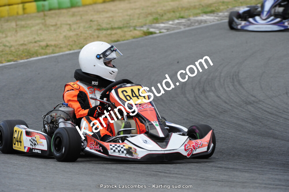31/05/2015 : 4ème manche du Trophée Kart Ufolep 2015 à Layrac (Photos Patrick Lascombes) 2015 — karting
