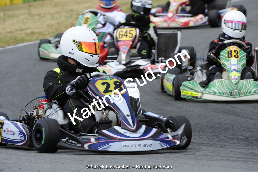 31/05/2015 : 4ème manche du Trophée Kart Ufolep 2015 à Layrac (Photos Patrick Lascombes) 2015 — karting