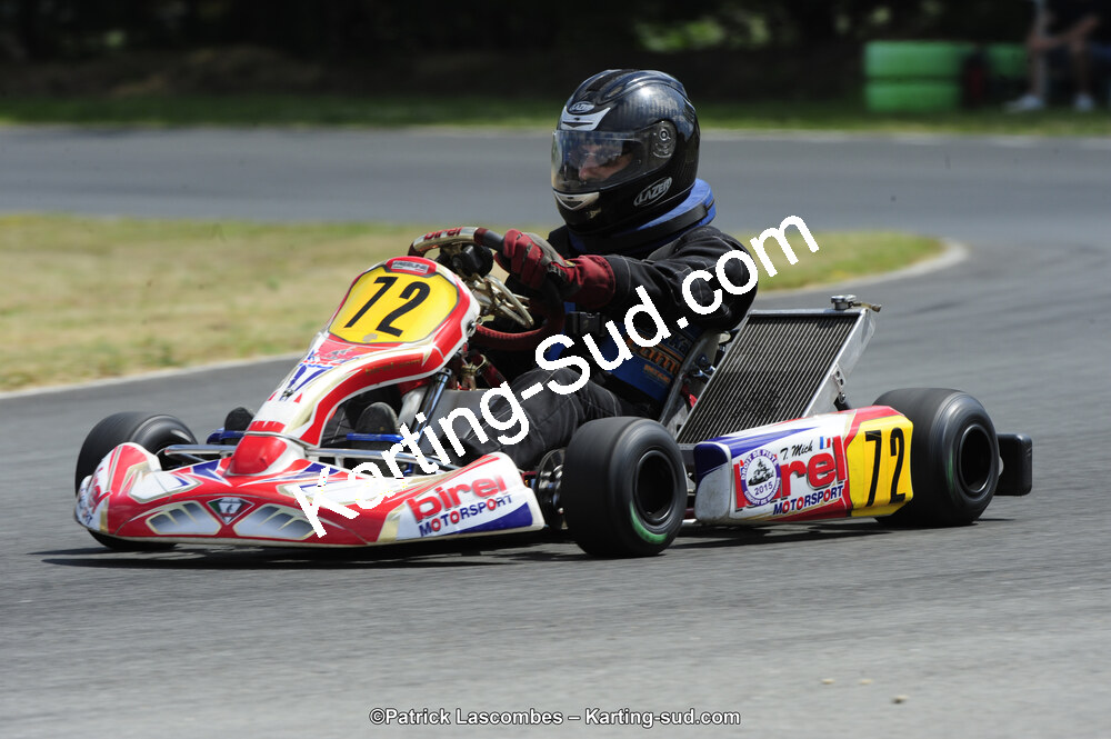 31/05/2015 : 4ème manche du Trophée Kart Ufolep 2015 à Layrac (Photos Patrick Lascombes) 2015 — karting