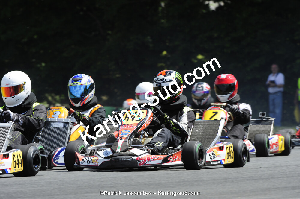 31/05/2015 : 4ème manche du Trophée Kart Ufolep 2015 à Layrac (Photos Patrick Lascombes) 2015 — karting
