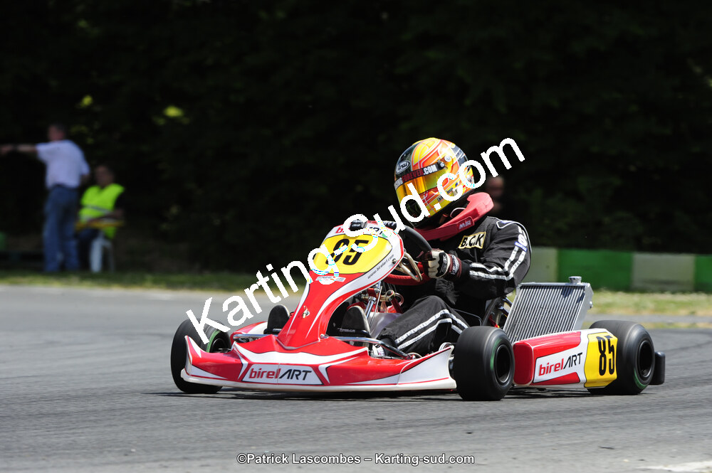 31/05/2015 : 4ème manche du Trophée Kart Ufolep 2015 à Layrac (Photos Patrick Lascombes) 2015 — karting