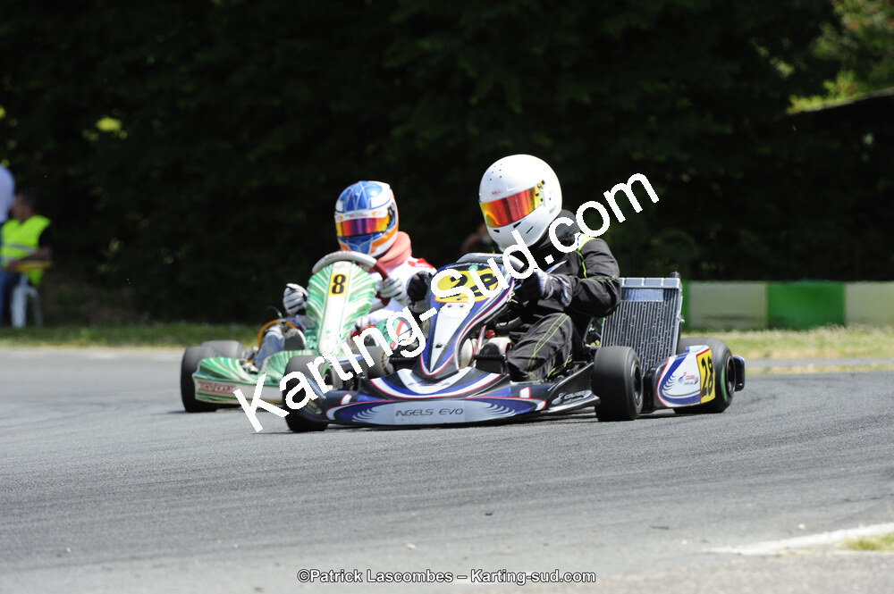 31/05/2015 : 4ème manche du Trophée Kart Ufolep 2015 à Layrac (Photos Patrick Lascombes) 2015 — karting