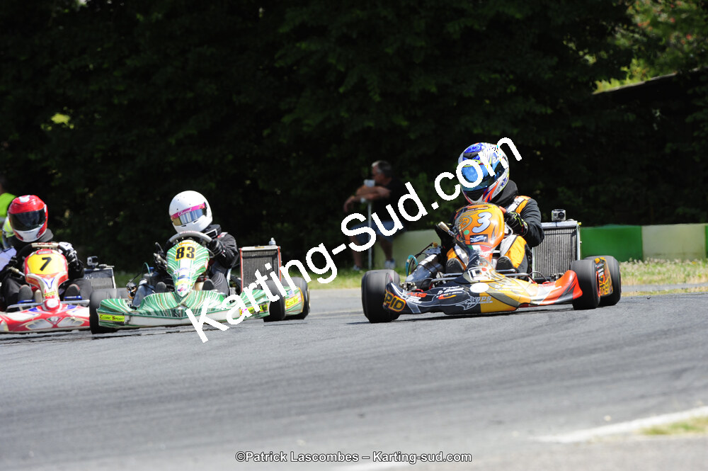 31/05/2015 : 4ème manche du Trophée Kart Ufolep 2015 à Layrac (Photos Patrick Lascombes) 2015 — karting