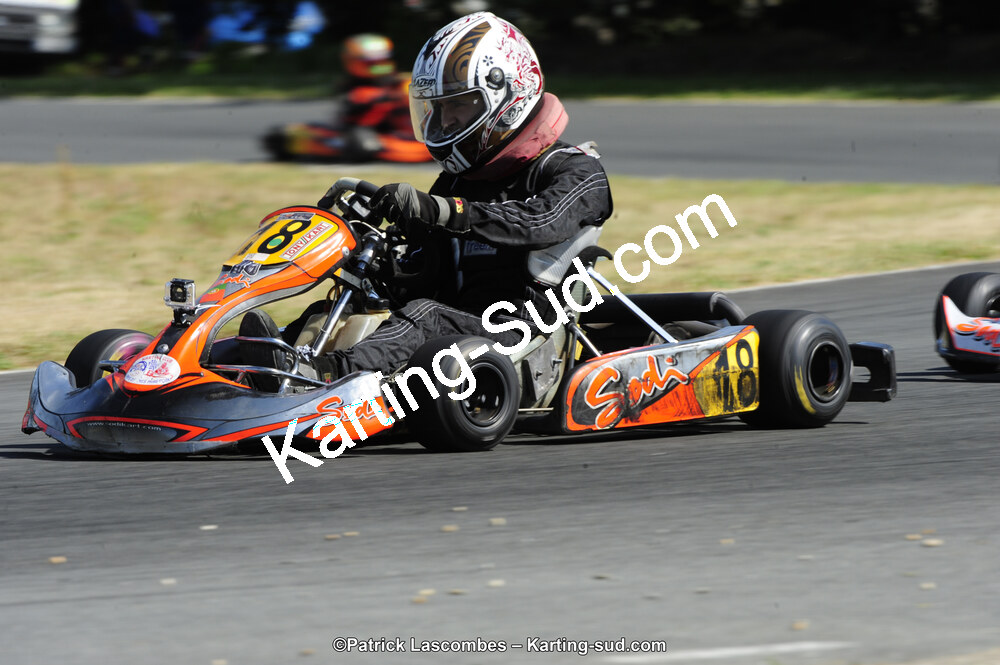 31/05/2015 : 4ème manche du Trophée Kart Ufolep 2015 à Layrac (Photos Patrick Lascombes) 2015 — karting