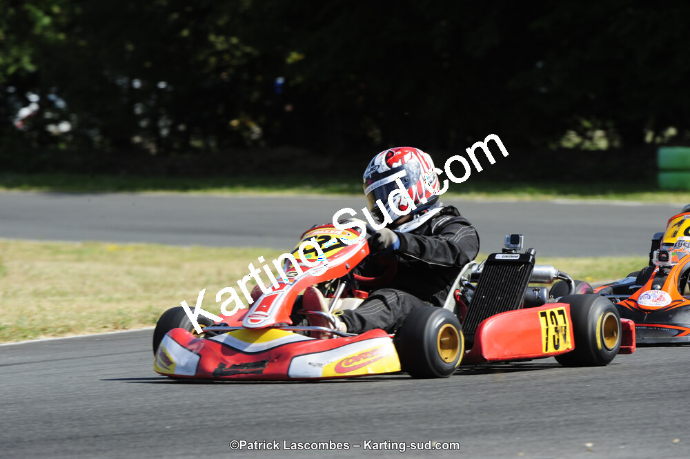 31/05/2015 : 4ème manche du Trophée Kart Ufolep 2015 à Layrac (Photos Patrick Lascombes) 2015 — karting