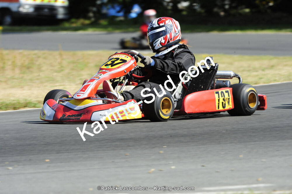 31/05/2015 : 4ème manche du Trophée Kart Ufolep 2015 à Layrac (Photos Patrick Lascombes) 2015 — karting