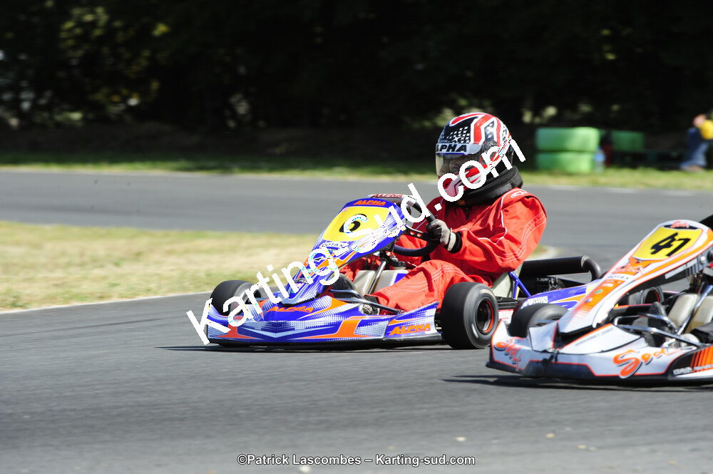 31/05/2015 : 4ème manche du Trophée Kart Ufolep 2015 à Layrac (Photos Patrick Lascombes) 2015 — karting
