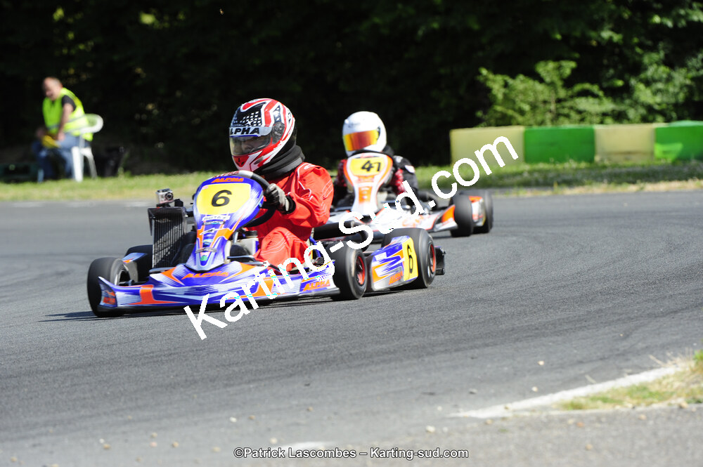 31/05/2015 : 4ème manche du Trophée Kart Ufolep 2015 à Layrac (Photos Patrick Lascombes) 2015 — karting