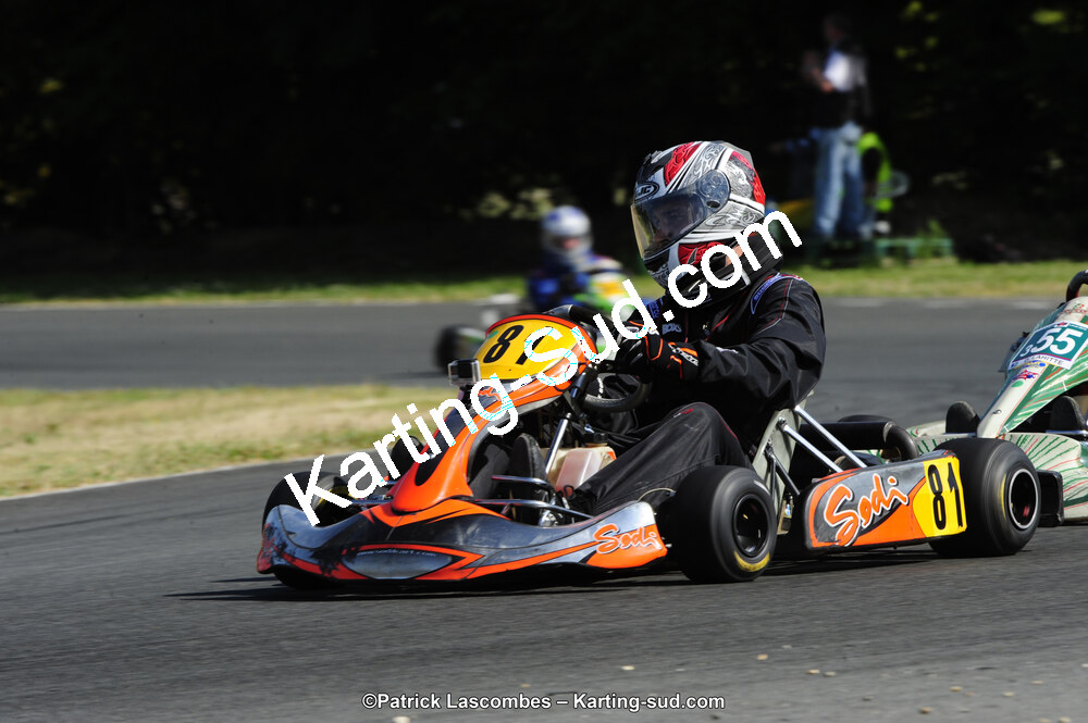 31/05/2015 : 4ème manche du Trophée Kart Ufolep 2015 à Layrac (Photos Patrick Lascombes) 2015 — karting