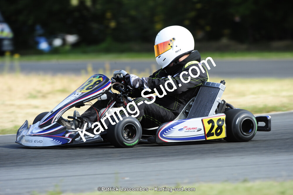 31/05/2015 : 4ème manche du Trophée Kart Ufolep 2015 à Layrac (Photos Patrick Lascombes) 2015 — karting