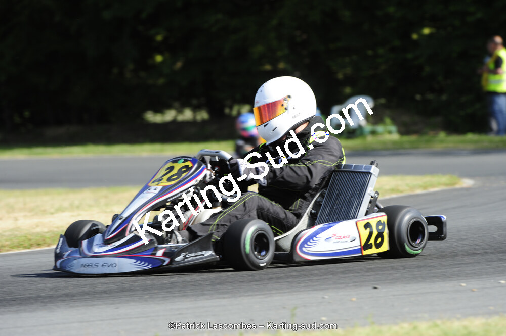 31/05/2015 : 4ème manche du Trophée Kart Ufolep 2015 à Layrac (Photos Patrick Lascombes) 2015 — karting