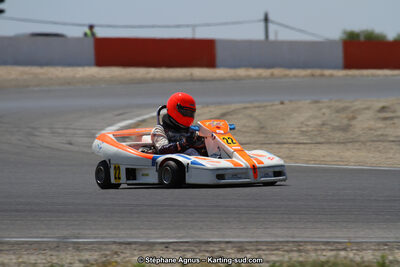 30 & 31/05/2015 : SuperKart 250, TTI Carbone et Championnat de France Long Circuit KZ2 et KZ2 Gentleman à Lédenon (Photos Stéphane Agnus) 2015 — karting