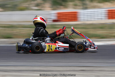 30 & 31/05/2015 : SuperKart 250, TTI Carbone et Championnat de France Long Circuit KZ2 et KZ2 Gentleman à Lédenon (Photos Stéphane Agnus) 2015 — karting