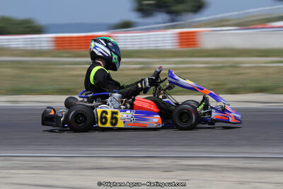 30 & 31/05/2015 : SuperKart 250, TTI Carbone et Championnat de France Long Circuit KZ2 et KZ2 Gentleman à Lédenon (Photos Stéphane Agnus) 2015 — karting