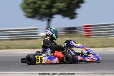 30 & 31/05/2015 : SuperKart 250, TTI Carbone et Championnat de France Long Circuit KZ2 et KZ2 Gentleman à Lédenon (Photos Stéphane Agnus) 2015 — karting