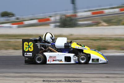 30 & 31/05/2015 : SuperKart 250, TTI Carbone et Championnat de France Long Circuit KZ2 et KZ2 Gentleman à Lédenon (Photos Stéphane Agnus) 2015 — karting