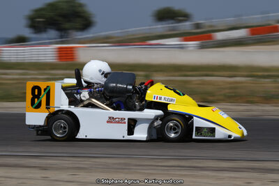30 & 31/05/2015 : SuperKart 250, TTI Carbone et Championnat de France Long Circuit KZ2 et KZ2 Gentleman à Lédenon (Photos Stéphane Agnus) 2015 — karting