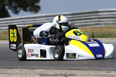 30 & 31/05/2015 : SuperKart 250, TTI Carbone et Championnat de France Long Circuit KZ2 et KZ2 Gentleman à Lédenon (Photos Stéphane Agnus) 2015 — karting