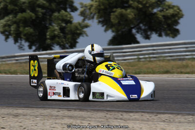 30 & 31/05/2015 : SuperKart 250, TTI Carbone et Championnat de France Long Circuit KZ2 et KZ2 Gentleman à Lédenon (Photos Stéphane Agnus) 2015 — karting