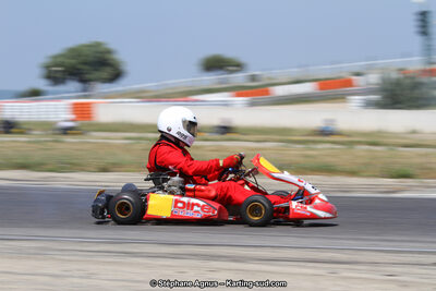 30 & 31/05/2015 : SuperKart 250, TTI Carbone et Championnat de France Long Circuit KZ2 et KZ2 Gentleman à Lédenon (Photos Stéphane Agnus) 2015 — karting