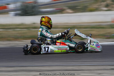30 & 31/05/2015 : SuperKart 250, TTI Carbone et Championnat de France Long Circuit KZ2 et KZ2 Gentleman à Lédenon (Photos Stéphane Agnus) 2015 — karting