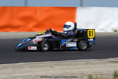 30 & 31/05/2015 : SuperKart 250, TTI Carbone et Championnat de France Long Circuit KZ2 et KZ2 Gentleman à Lédenon (Photos Stéphane Agnus) 2015 — karting