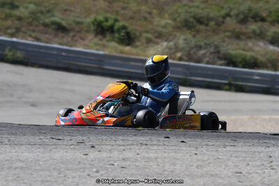 30 & 31/05/2015 : SuperKart 250, TTI Carbone et Championnat de France Long Circuit KZ2 et KZ2 Gentleman à Lédenon (Photos Stéphane Agnus) 2015 — karting