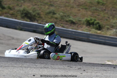 30 & 31/05/2015 : SuperKart 250, TTI Carbone et Championnat de France Long Circuit KZ2 et KZ2 Gentleman à Lédenon (Photos Stéphane Agnus) 2015 — karting