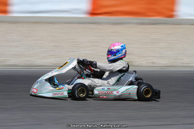 Sébastien LEDER — 30 & 31/05/2015 : SuperKart 250, TTI Carbone et Championnat de France Long Circuit KZ2 et KZ2 Gentleman à Lédenon (Photos Stéphane Agnus) 2015 — karting