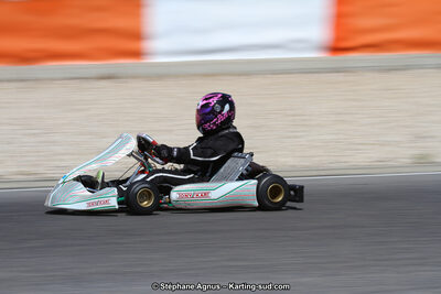 30 & 31/05/2015 : SuperKart 250, TTI Carbone et Championnat de France Long Circuit KZ2 et KZ2 Gentleman à Lédenon (Photos Stéphane Agnus) 2015 — karting