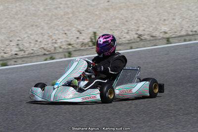 30 & 31/05/2015 : SuperKart 250, TTI Carbone et Championnat de France Long Circuit KZ2 et KZ2 Gentleman à Lédenon (Photos Stéphane Agnus) 2015 — karting