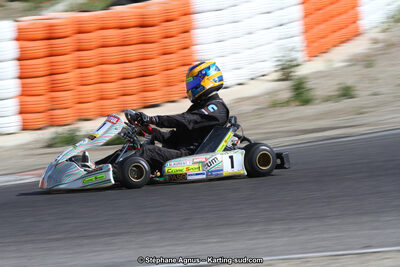 30 & 31/05/2015 : SuperKart 250, TTI Carbone et Championnat de France Long Circuit KZ2 et KZ2 Gentleman à Lédenon (Photos Stéphane Agnus) 2015 — karting