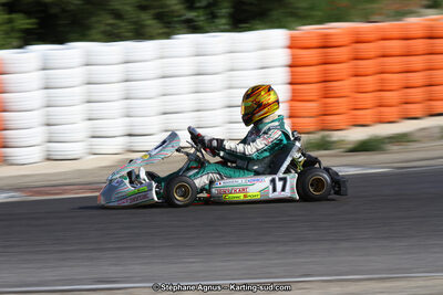 30 & 31/05/2015 : SuperKart 250, TTI Carbone et Championnat de France Long Circuit KZ2 et KZ2 Gentleman à Lédenon (Photos Stéphane Agnus) 2015 — karting
