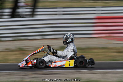 30 & 31/05/2015 : SuperKart 250, TTI Carbone et Championnat de France Long Circuit KZ2 et KZ2 Gentleman à Lédenon (Photos Stéphane Agnus) 2015 — karting