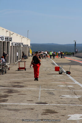 30 & 31/05/2015 : SuperKart 250, TTI Carbone et Championnat de France Long Circuit KZ2 et KZ2 Gentleman à Lédenon (Photos Stéphane Agnus) 2015 — karting