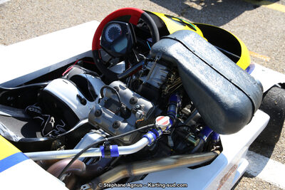 30 & 31/05/2015 : SuperKart 250, TTI Carbone et Championnat de France Long Circuit KZ2 et KZ2 Gentleman à Lédenon (Photos Stéphane Agnus) 2015 — karting
