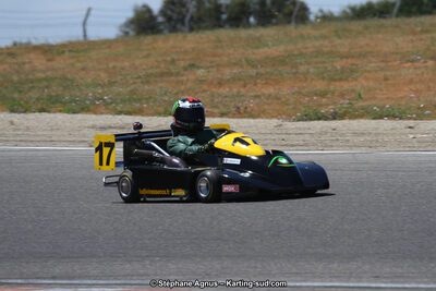 30 & 31/05/2015 : SuperKart 250, TTI Carbone et Championnat de France Long Circuit KZ2 et KZ2 Gentleman à Lédenon (Photos Stéphane Agnus) 2015 — karting