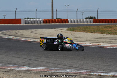 30 & 31/05/2015 : SuperKart 250, TTI Carbone et Championnat de France Long Circuit KZ2 et KZ2 Gentleman à Lédenon (Photos Stéphane Agnus) 2015 — karting