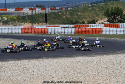 30 & 31/05/2015 : SuperKart 250, TTI Carbone et Championnat de France Long Circuit KZ2 et KZ2 Gentleman à Lédenon (Photos Stéphane Agnus) 2015 — karting