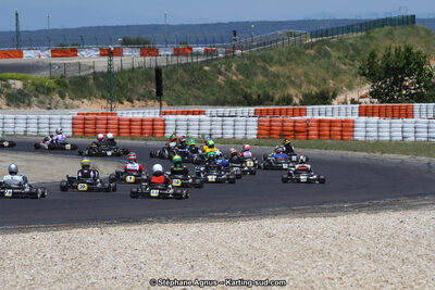 30 & 31/05/2015 : SuperKart 250, TTI Carbone et Championnat de France Long Circuit KZ2 et KZ2 Gentleman à Lédenon (Photos Stéphane Agnus) 2015 — karting